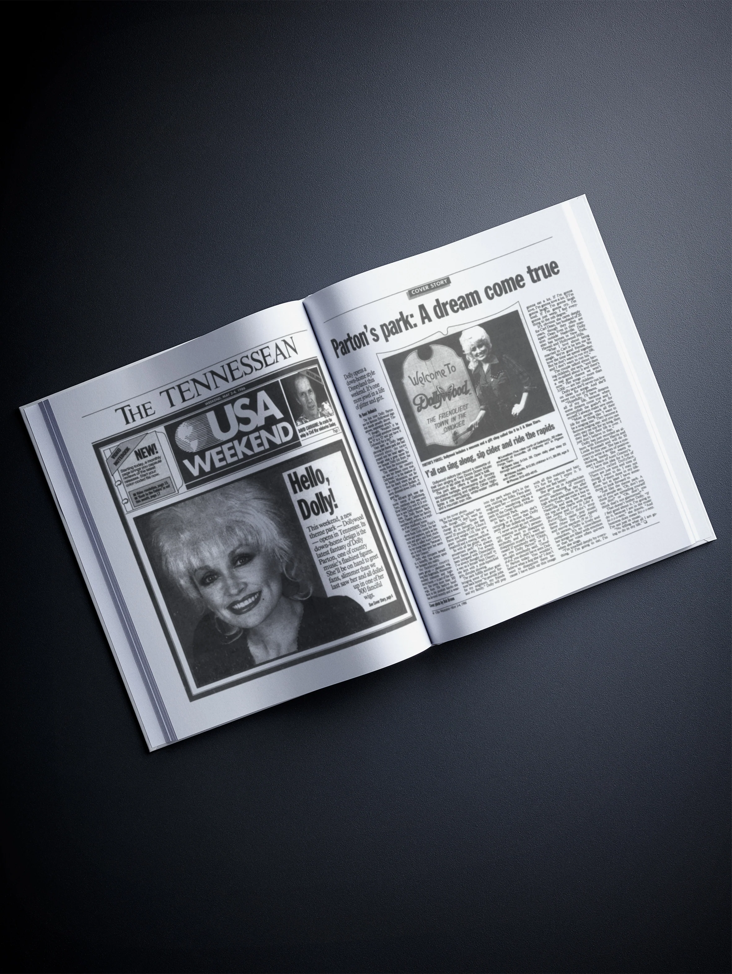 The Story of Dolly Parton - Image 7
