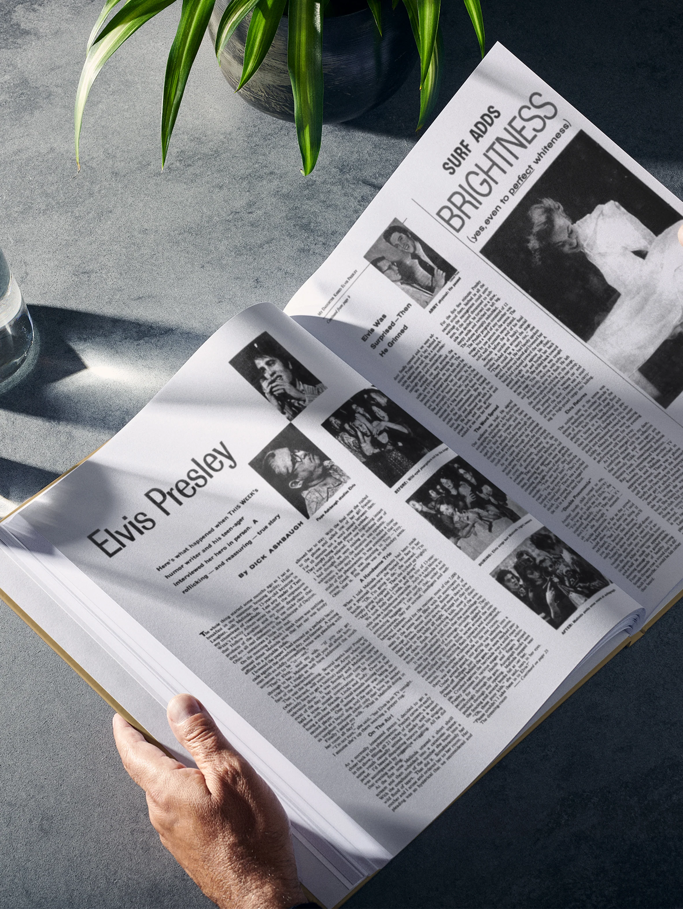 The Story of Elvis Los Angeles Times Edition - Image 8