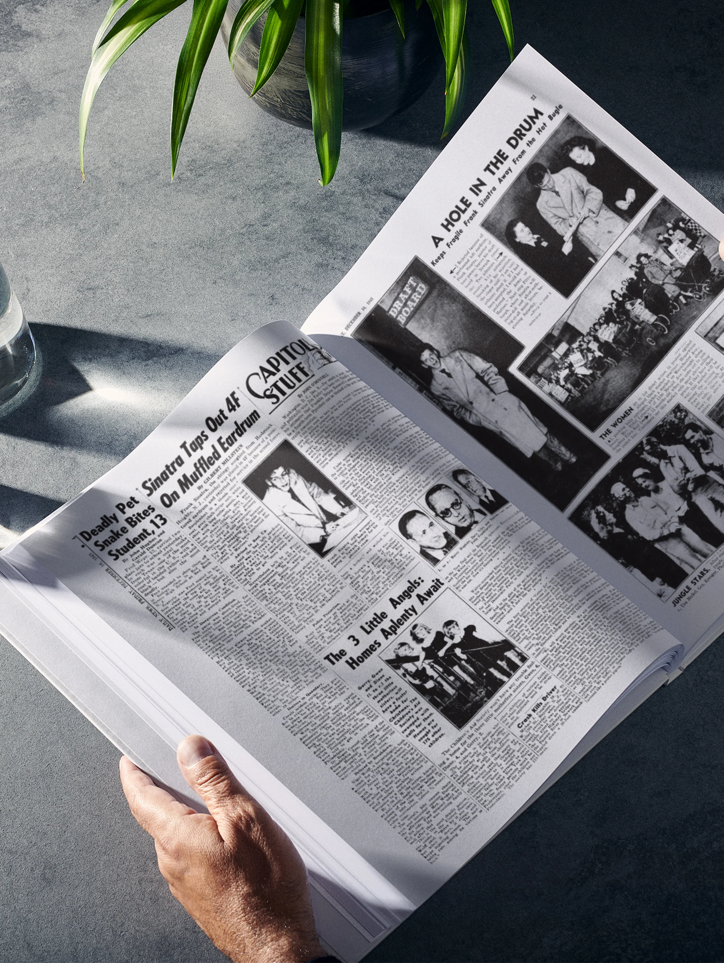 The Story of Frank Sinatra New York Daily News Edition - Image 3